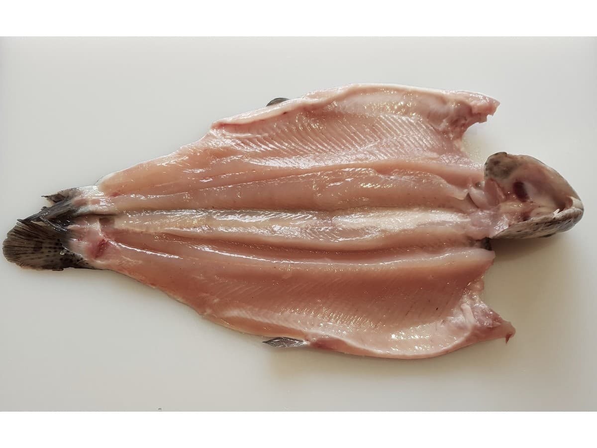 Pin Bone Out Boned Fillets