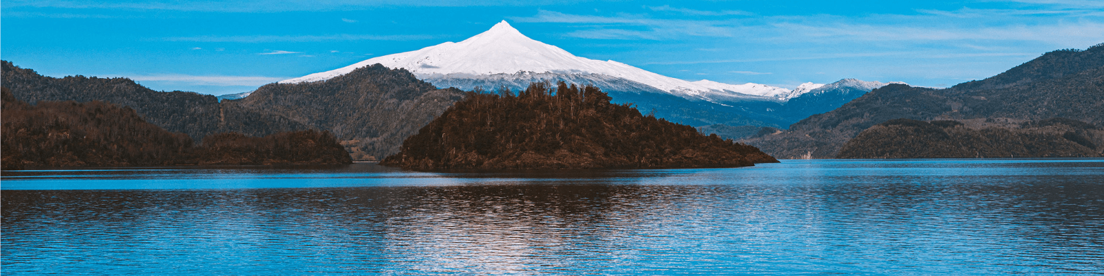 Healthy trout from clean cold Patagonian water