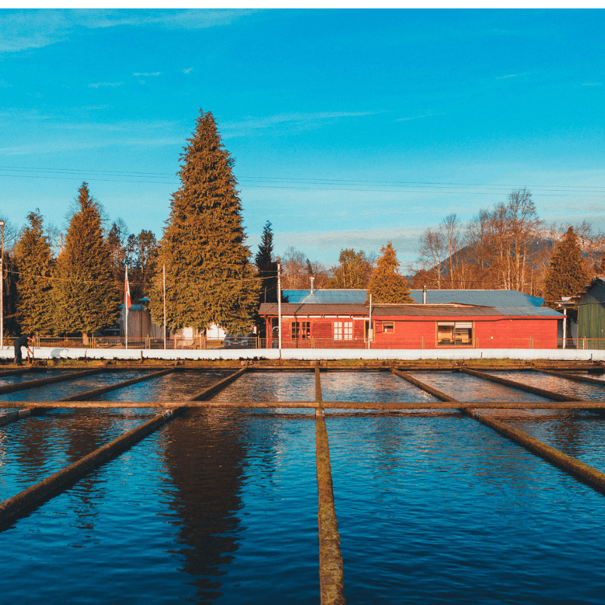 Entre Ríos — preserving wild fish populations