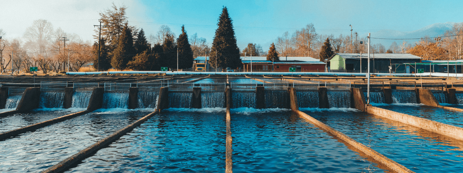 Entre Ríos aquaculture facility